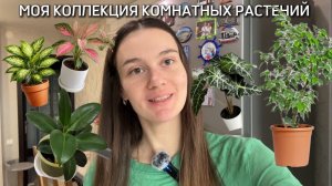 МОЯ ЦВЕТОЧНАЯ КОЛЛЕКЦИЯ (июнь 2026)