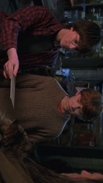 ТАЙНА АРГУСА ФИЛЧА|ВЫРЕЗАННАЯ СЦЕНА #harrypotter #гаррипоттер #вырезаннаясцена #deletedscene