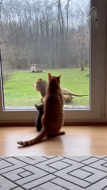 Ктз них царь зверей