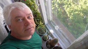 Видео про цветущий кактус. Белый цветок на кактусе, 05 июня 2026 год.