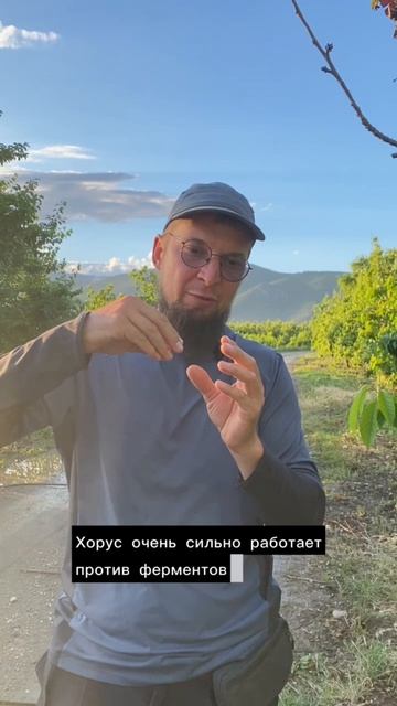 Продолжаем бороться с монилиозом в саду.