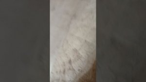 конкурс сюрпризом кто слепит больше стран