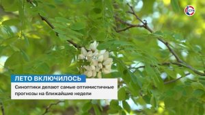 В Севастополь пришла по-настоящему летняя погода