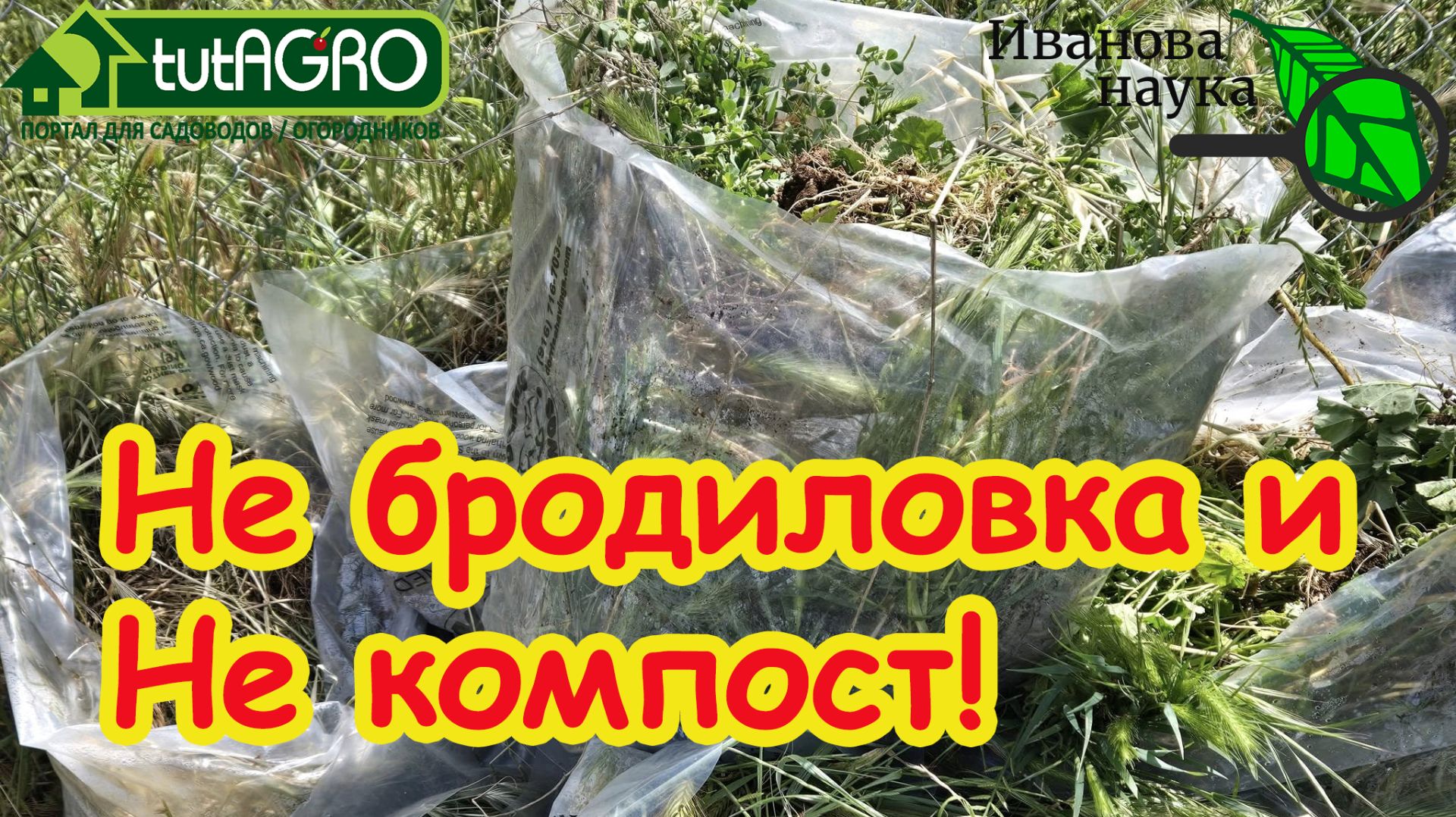 В 100 раз лучше навоза и БЕСПЛАТНО! Лучшая подкормка из травы за неделю: НЕ бродиловка и НЕ компост. смотреть онлайн