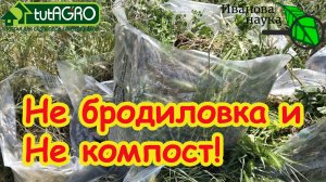 В 100 раз лучше навоза и БЕСПЛАТНО! Лучшая подкормка из травы за неделю: НЕ бродиловка и НЕ компост.