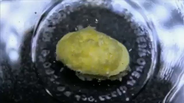 Растворение таблеток в воде