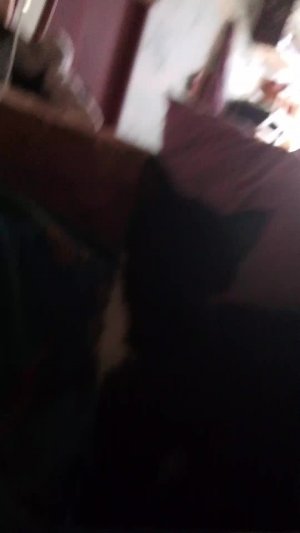 ,