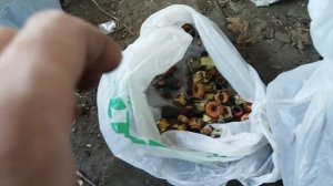 #25 Блоки питания на медь и платы.
Рекорд канала по разбору блоков.
Сколько можно заработать с разбо