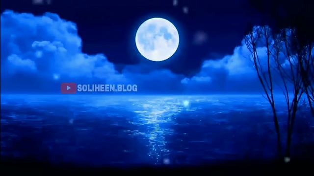 YouCut_20260603_102031989.mp4 смотреть онлайн