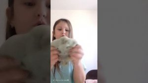 как обещала