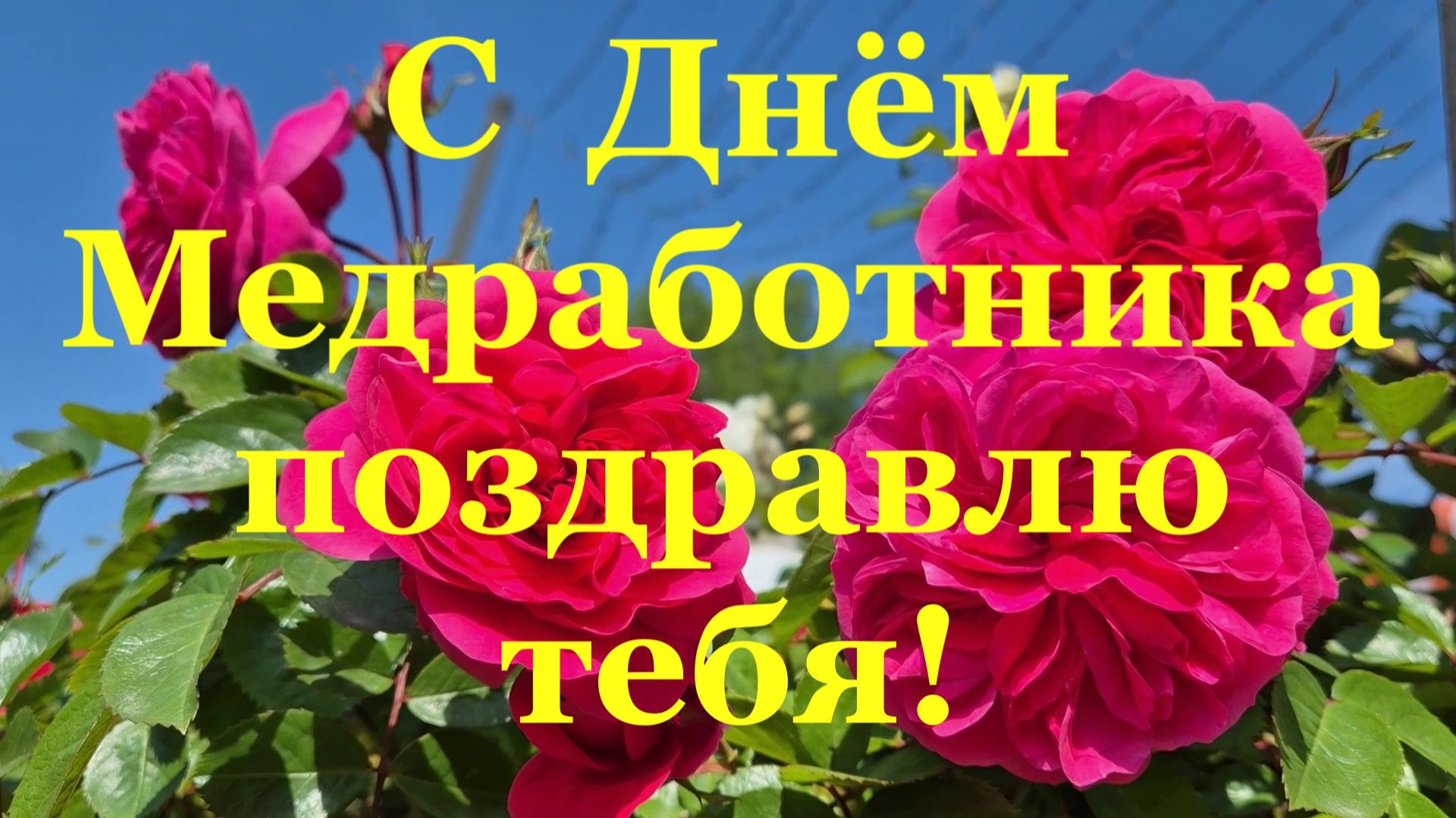 С Днём Медработника поздравлю я тебя!