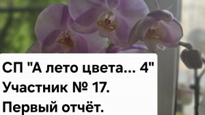 СП «А лето цвета...4». Участник №17. Первый отчёт.