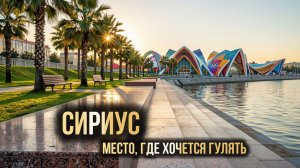 Тайные уголки Сириуса: что обычно пропускают туристы.