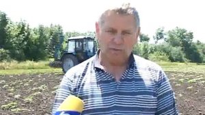 Борона ротационная поверить в чудо