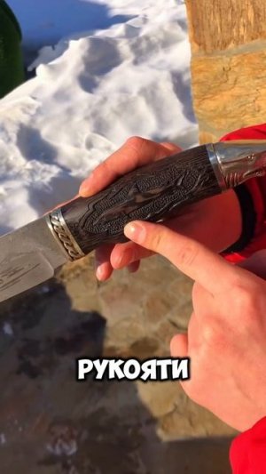 Мегалодон — хищник, которому тесно в обычных размерах
