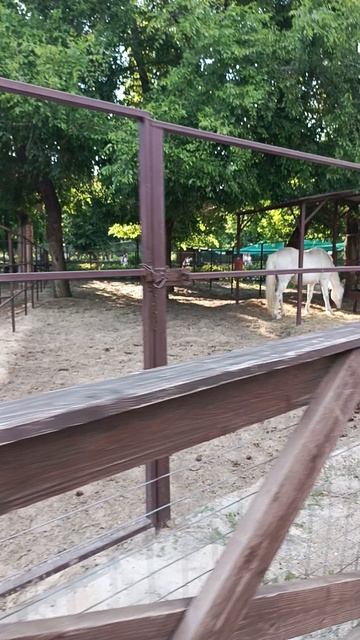 ранчо