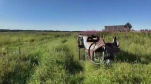 САМАЯ КОЛХОЗНАЯ ПЕСНЯ СССР