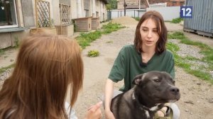 Лапа помощи: Персик и Маруся