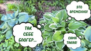 Так себе из меня БЛОГЕР. Ещё одна мечта сбылась. 🥰