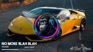 No More Blah Blah - Vesanic