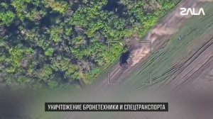 Ланцет,май 2026.