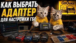 Как выбрать адаптер для настройки и диагностики ГБО GBOшка