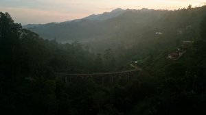 Dub Deep Techno Mix 2026  Misty Forests  Cinematic Visuals