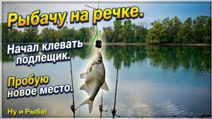 Рыбачу на речке. Начал клювать подлещик. Пробую новое место