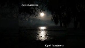 Лунная дорожка