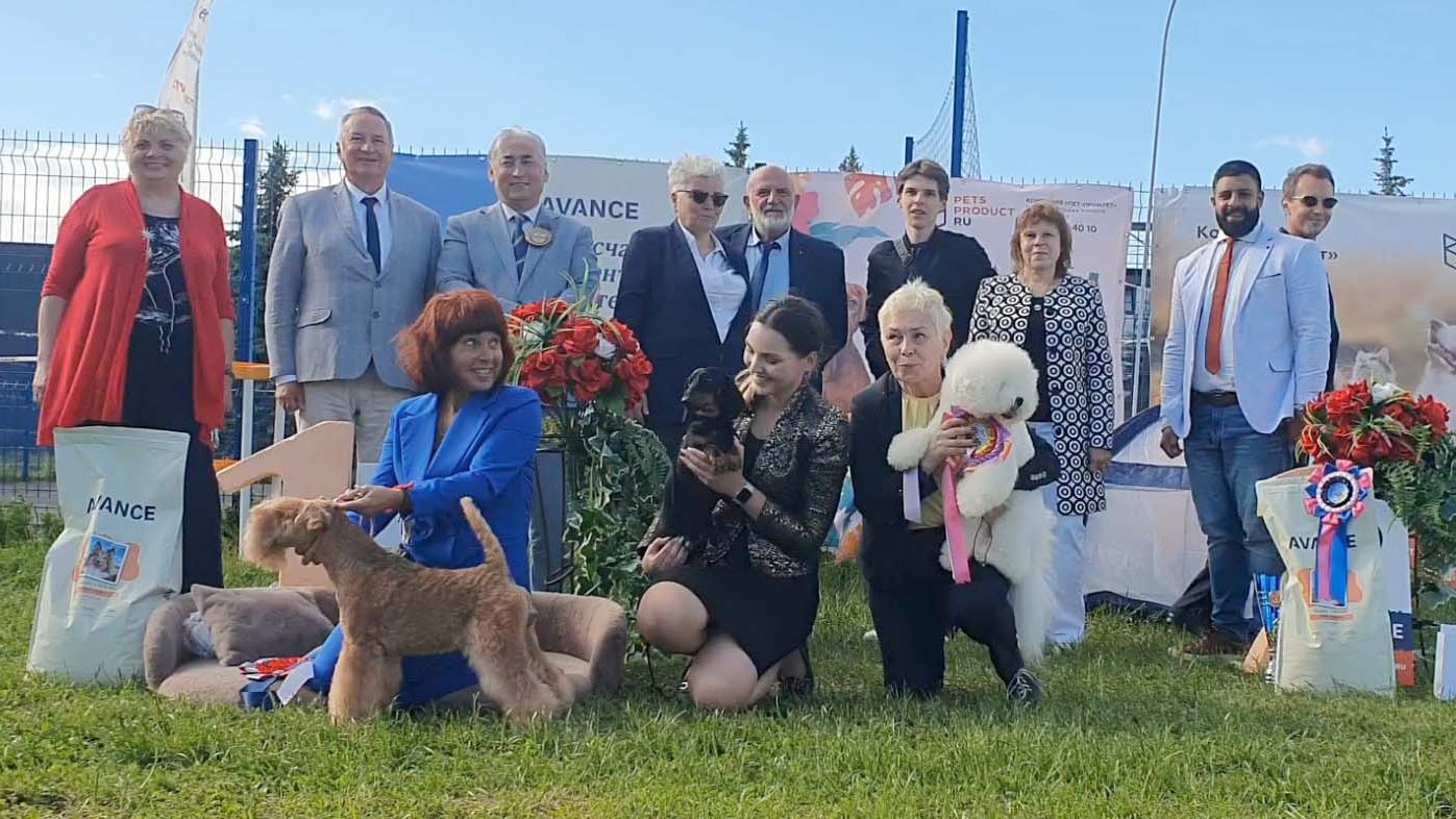 24.05.2026, Псков. Клуб "БЭСТ" (РКФ, РФОС). Рейтинговая выставка "СТРАЖИ ПСКОВА" (САС, ЧРКФ) смотреть онлайн