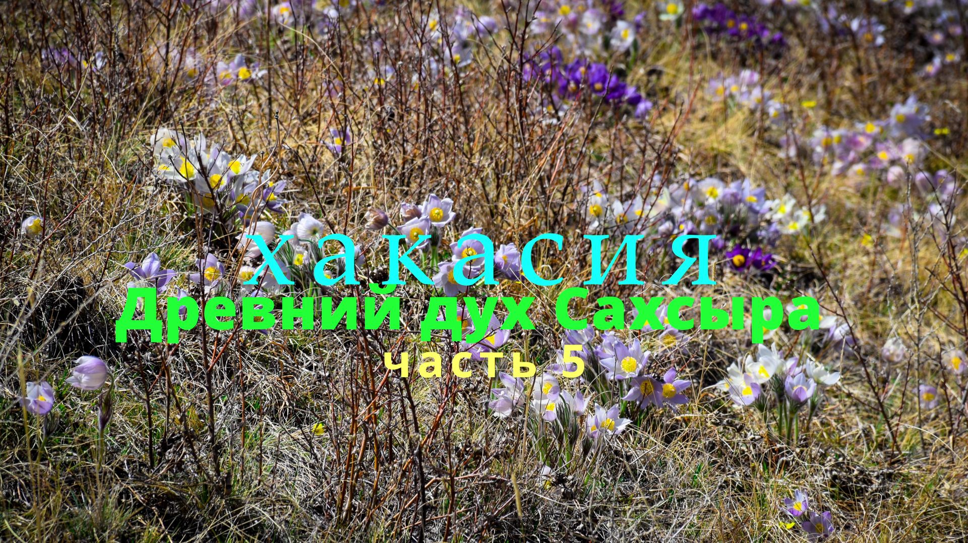 Хакасия. Древний дух Сахсыра. Часть 5