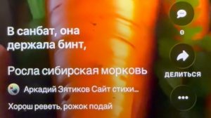 «Росла сибирская морковь» новая картинка