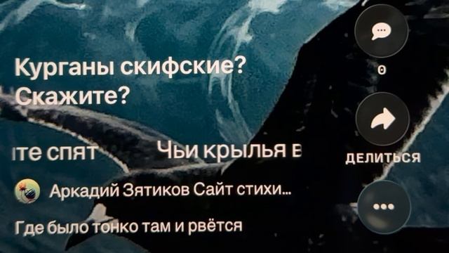 «Чьи крылья в горизонте спят» где тонко там и рвётся