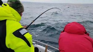 Настоящая морская рыбалка в Баренцевом море. Ловля Палтуса. Отдых и развлечения в Мурманске.