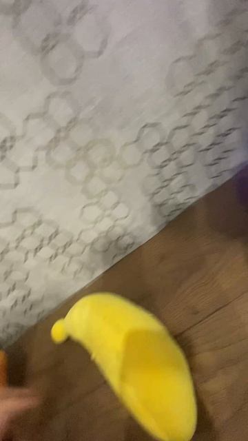 Лошадь сломала мою спину😂🤣#funny#