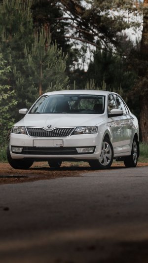 Skoda rapid осмотр на продажу
