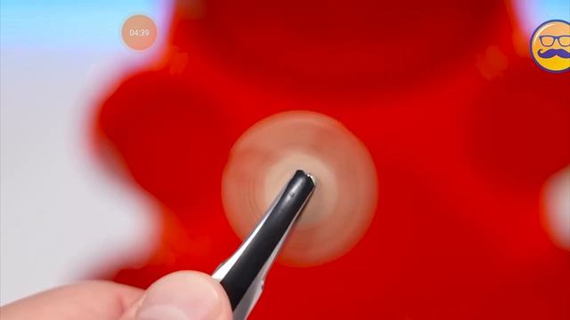 собери портфель в школу челлендж и медведь Валера смотреть онлайн