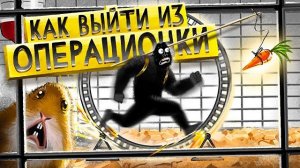 Как выйти из операционки? Твой план действий