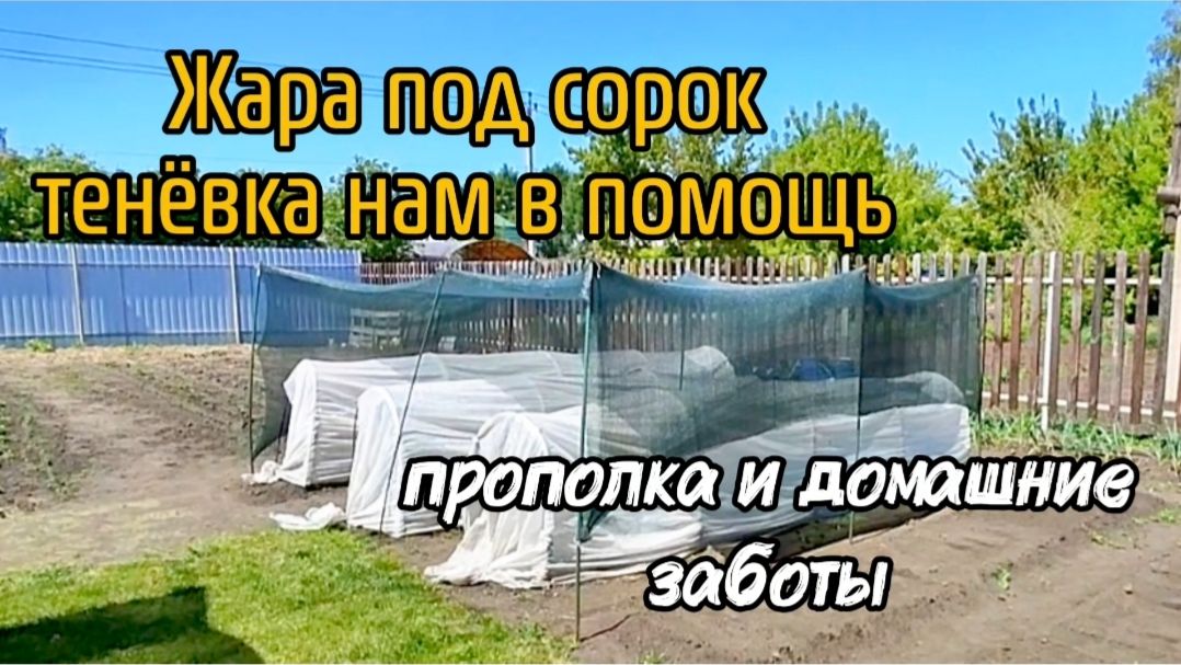 Жара под сорок, тенёвка нам в помощь. Прополка и домашние заботы.