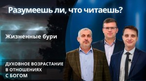 Жизненные бури || РАЗУМЕЕШЬ ЛИ, ЧТО ЧИТАЕШЬ? | УРОК 11