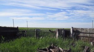 Видео деревенской жизни