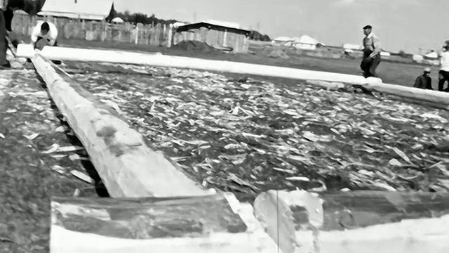 1977 год. Ялуторовский район. Строительство домов