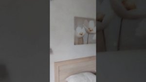1000216664.mp4