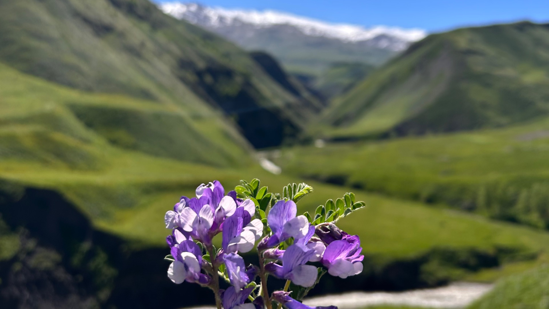 Первые дни лета в горах Дагестана. Укуз (Уккуд) смотреть онлайн