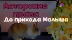 A_ny-ka_davay-ka_poteryanniy_prank_2017.mp4