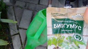 Утренние развлечения на даче))
