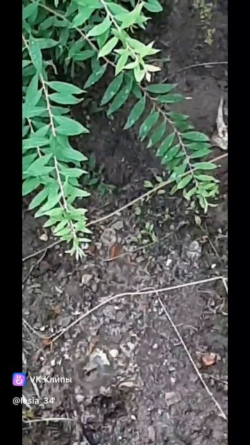 А на улице дождь ,,,,#ХИЖИНАРЫБАКАВОЛГОГРАД