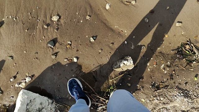 1000036782.mp4 смотреть онлайн