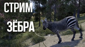 Охота на зебр Африке Way of the Hunter 2