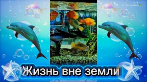 Жизнь вне земли